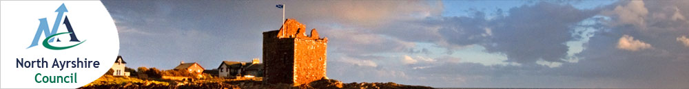 CMIS Logo